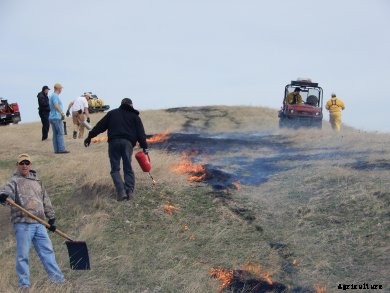 pasture-burning-with-people